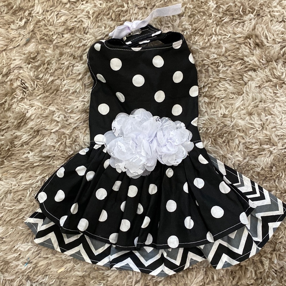 Dog costume / dress size xsmall